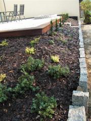 KONICA MINOLTA DIGITAL CAMERA