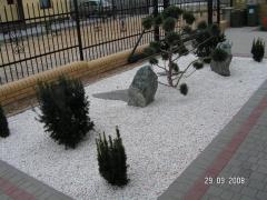 KONICA MINOLTA DIGITAL CAMERA