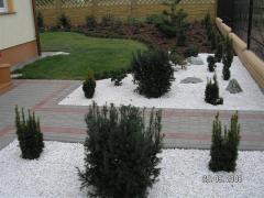 KONICA MINOLTA DIGITAL CAMERA