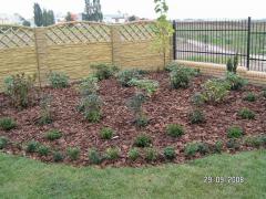 KONICA MINOLTA DIGITAL CAMERA