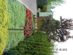 KONICA MINOLTA DIGITAL CAMERA