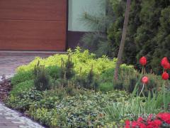 KONICA MINOLTA DIGITAL CAMERA