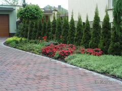 KONICA MINOLTA DIGITAL CAMERA