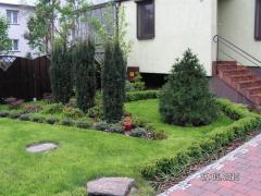 KONICA MINOLTA DIGITAL CAMERA