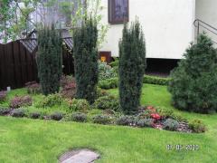 KONICA MINOLTA DIGITAL CAMERA