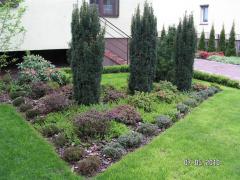 KONICA MINOLTA DIGITAL CAMERA