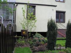 KONICA MINOLTA DIGITAL CAMERA