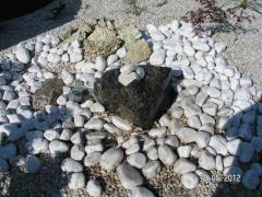 KONICA MINOLTA DIGITAL CAMERA