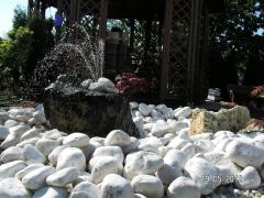 KONICA MINOLTA DIGITAL CAMERA