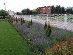 KONICA MINOLTA DIGITAL CAMERA