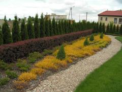 KONICA MINOLTA DIGITAL CAMERA