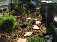 KONICA MINOLTA DIGITAL CAMERA