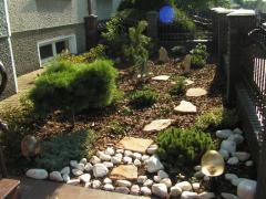 KONICA MINOLTA DIGITAL CAMERA