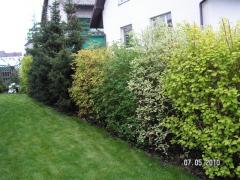 KONICA MINOLTA DIGITAL CAMERA