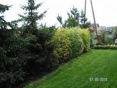 KONICA MINOLTA DIGITAL CAMERA