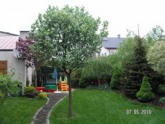 KONICA MINOLTA DIGITAL CAMERA