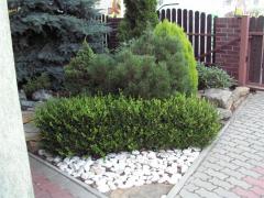 KONICA MINOLTA DIGITAL CAMERA