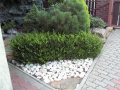 KONICA MINOLTA DIGITAL CAMERA