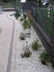 KONICA MINOLTA DIGITAL CAMERA