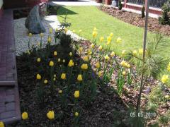 KONICA MINOLTA DIGITAL CAMERA