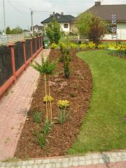 KONICA MINOLTA DIGITAL CAMERA