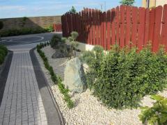 IMG_8545 (Medium) (Medium)