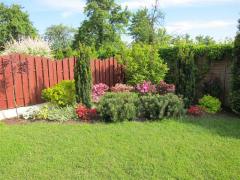 IMG_8548 (Medium) (Medium)