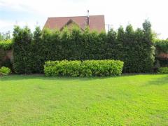 IMG_8550 (Medium) (Medium)