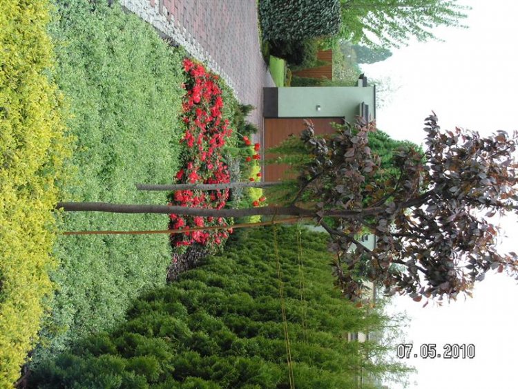 KONICA MINOLTA DIGITAL CAMERA