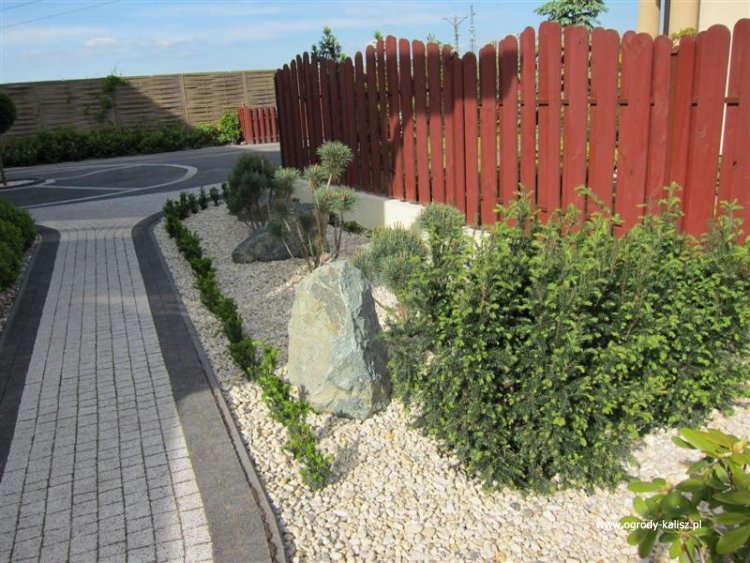 IMG_8545 (Medium) (Medium)