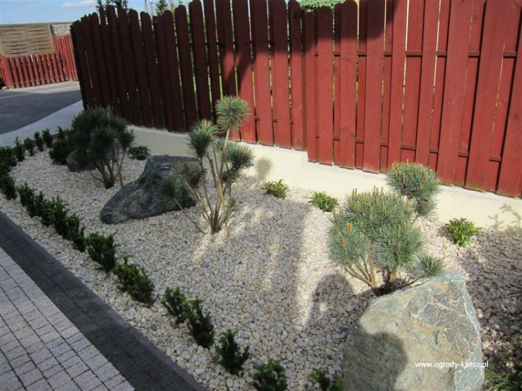 IMG_8552 (Medium) (Medium)