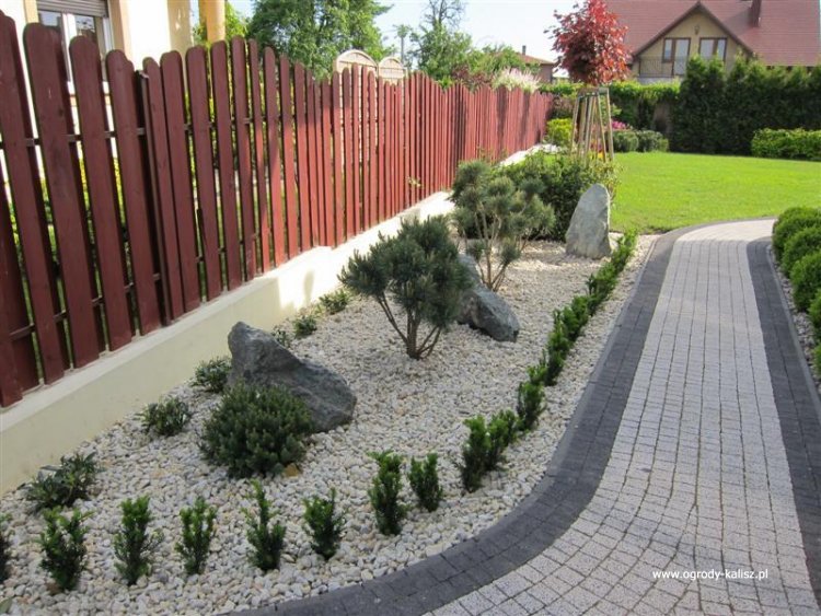 IMG_8554 (Medium) (2)